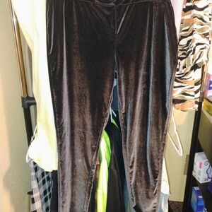 Women's 16W-18W Terra & Sky Green Velvet-Feel Pants -Like New